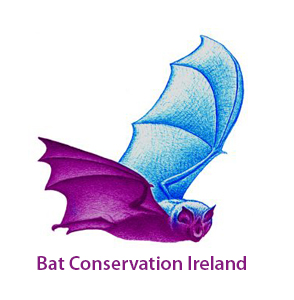 Bat Conservation Ireland-logo300