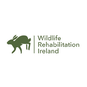Wildlife Rehabilitation Ireland_300